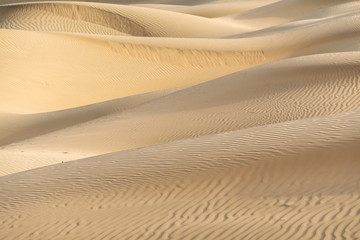 Fototapeta na wymiar Beautiful sand dune in Thar desert, Jaisalmer, Rajasthan, India.