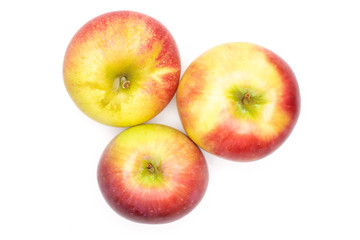 Fototapeta na wymiar Group of three whole fresh red apple james grieve variety flatlay isolated on white background