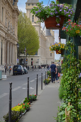 The street of Paris and the flower market. France - 216495511