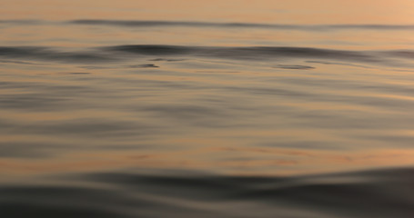 small waves on a beach at sunset
