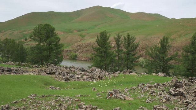 Orkhon river, trees and hill in Mongolia.