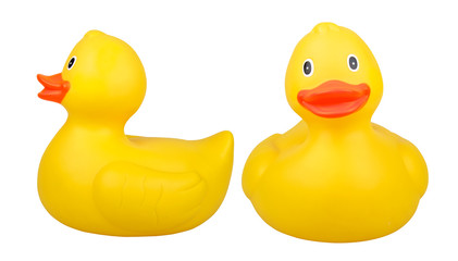 Yellow Rubber Duck with Clipping Path