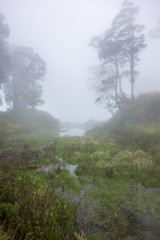 Obraz na płótnie Canvas Foggy misty morning at Danau Segara Anak Lake, in Rinjani, Lombok island, Indonesia.