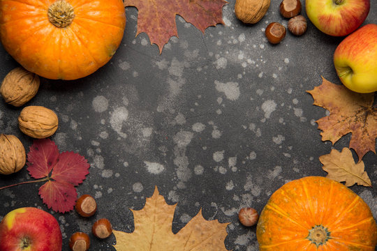 Apples, pumpkins,hazelnut, walnut and fallen leaves on dark background. Copy space for text, top view