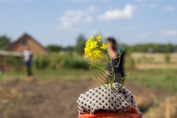 Hand mit gelber Blume im Sommer