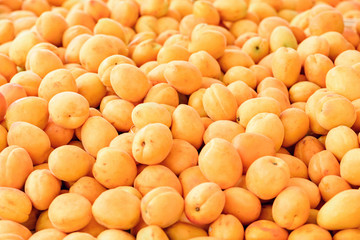 bright apricots in the market