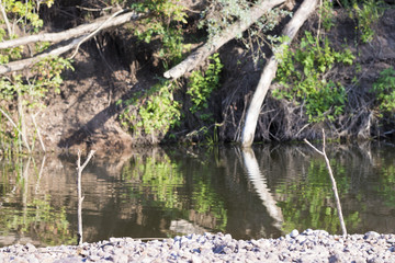 Beautiful summer nature, river, river bank, holder for fishing rods, place for fishing
