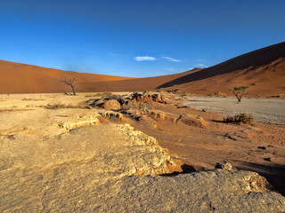 Magic Landscape in Deadvlei, Namibia