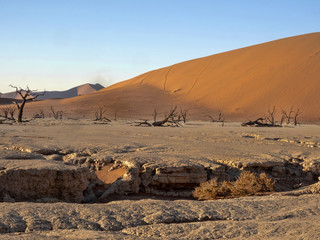 Magic Landscape in Deadvlei, Namibia