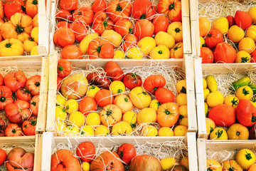 Yellow and red tomatoes in boxes on a market