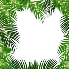 Palm Leaf on White Background with Place for Your Text Vector Illustration