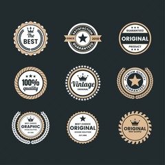 Vintage Retro Vector Logo for banner