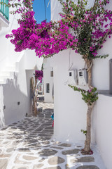 Fototapeta premium Widok na typową wąską uliczkę na starym mieście Naoussa, wyspa Paros, Cyklady, Grecja
