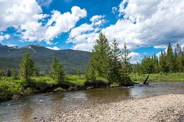 Green trees, mountain stream and blue sky. Colorado Summer Terrain