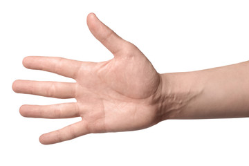 A hand with a straightened empty palm, isolated on white background