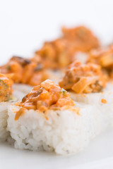 Sushi set and composition at white background. Japanese food restaurant, sushi maki gunkan roll plate or platter set.