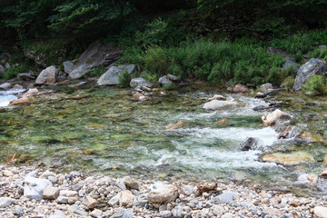 the water of a brook Stream