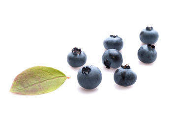 Heidelbeeren blau und Blatt grün