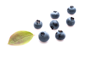 Heidelbeeren und Blatt als Freisteller