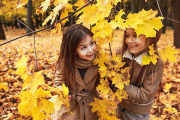 Two little sisters plays in the autumn leaves in park