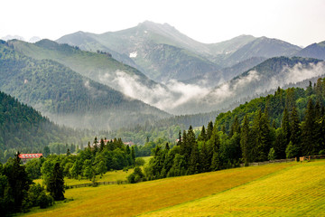 Obraz premium panorama from green beskid mountains ,high tatra, with green landscape and forest
