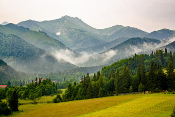 panorama from green beskid mountains ,high tatra, with green landscape and forest