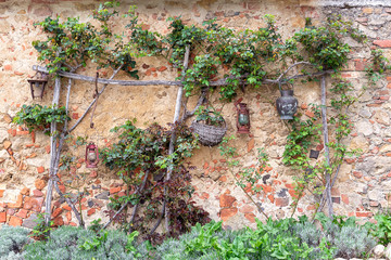 Brick wall with plants