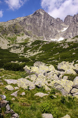 panorama from green beskid mountains ,high tatra, with lomnika peak