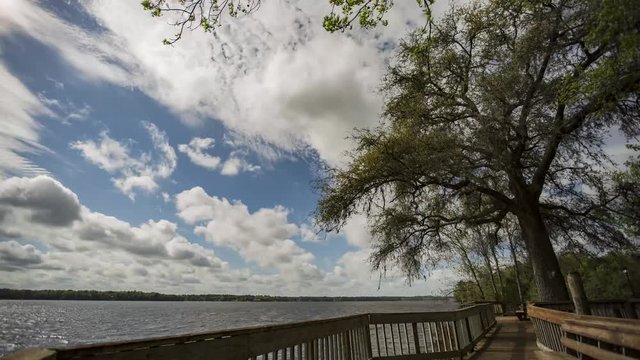 Time lapse of blue sky and clouds passing over Lake Talquin, Florida