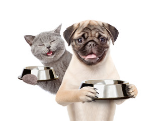 Happy cat and hungry puppy with a empty bowls. isolated on white background