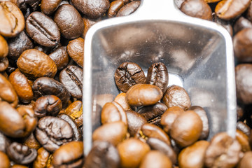 macro of coffee beans with metal scoop 