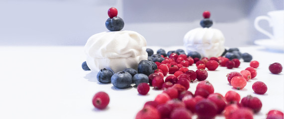 Blueberries and cranberries, berries on a white background. Berry light background.
