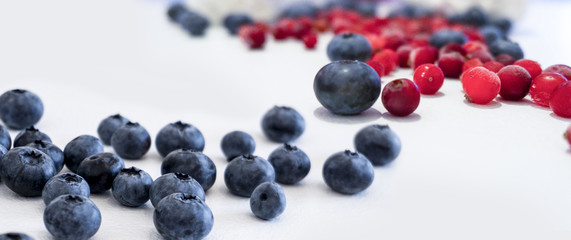 Blueberries and cranberries, berries on a white background. Berry light background.