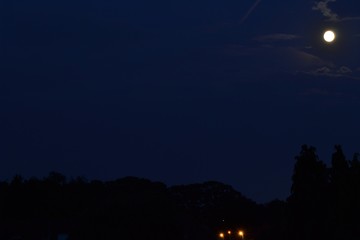 Nighttime photograph of the moon above a suburban park in a starless sky. The silhouette of park trees sharply delineates the night sky. A few clouds are illuminated by the moon.