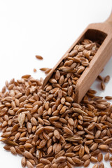 spelt seeds on a white acrylic background