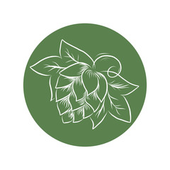 Hand drawn hop cones and wheat heads outline illustration. Hops and wheat frame for poster, banner, logo, icon, template. For beer party, thanksgiving day, craft beer producer, beer festival