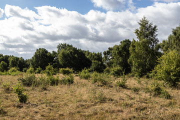 Nature Reserve Höltigbaum
