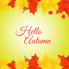 autumn sale vector illustration background