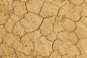 The cracked, dried earth is yellow. A desert without water. Arid ground. Thirst for moisture on a lifeless space. Ecological situation in the world.Saving water and natural resources.Undeveloped soil 