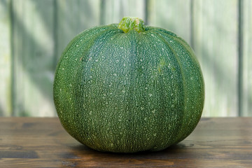 Fresh green round zucchini