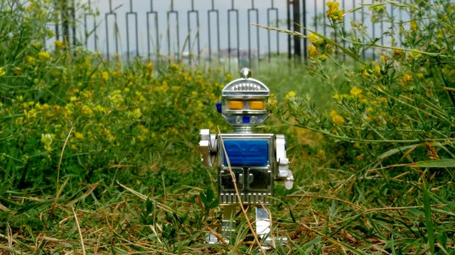 Old soviet robot toy walks at the huge grass