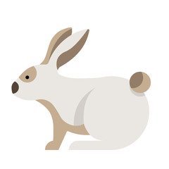 Rabbit flat illustration