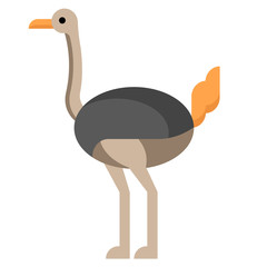 Ostrich flat illustration