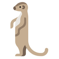 Meerkat flat illustration