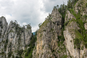 Gebirgswand Felsen und Pflanzen Querformat 1