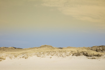 Dünenlandschaft, Küste, Sylt, Nordfriesische Insel, Nordfriesland, Schleswig-Holstein, Deutschland, Europa