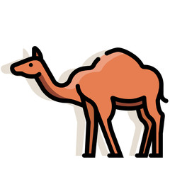 Camel LineColor illustration