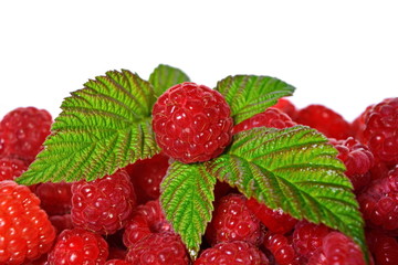 Fresh harvested red ripe juicy sweet raspberry with green leaves on top and ones large on it. Isolated. White background. Macro, close up