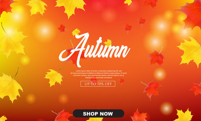 autumn sale vector illustration background
