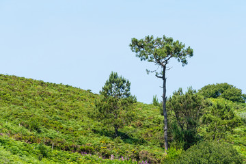 Landschaft Wales